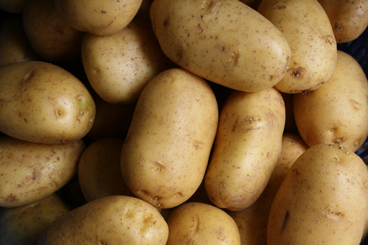 Clean Label Snacking: What Short Ingredient Lists Really Mean