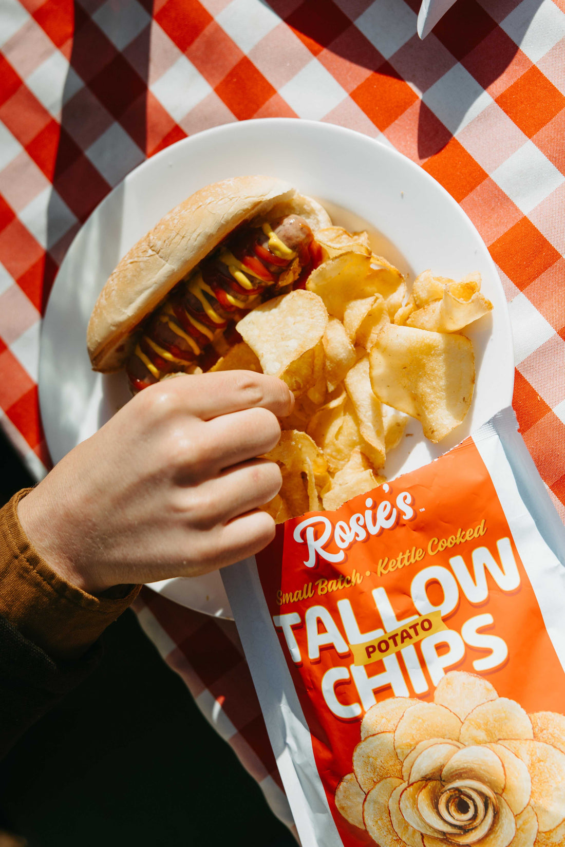 The chip revolution shown through the tallow chips on top of a picnic blanket.