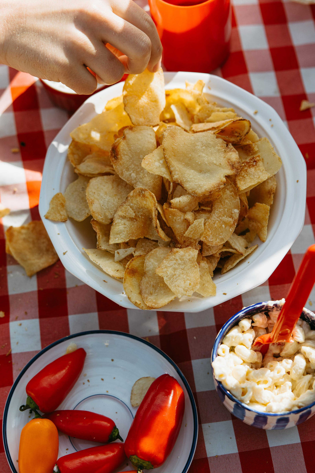 Chips fried in beef tallow shown on top of a picnic blanket on a bowl.